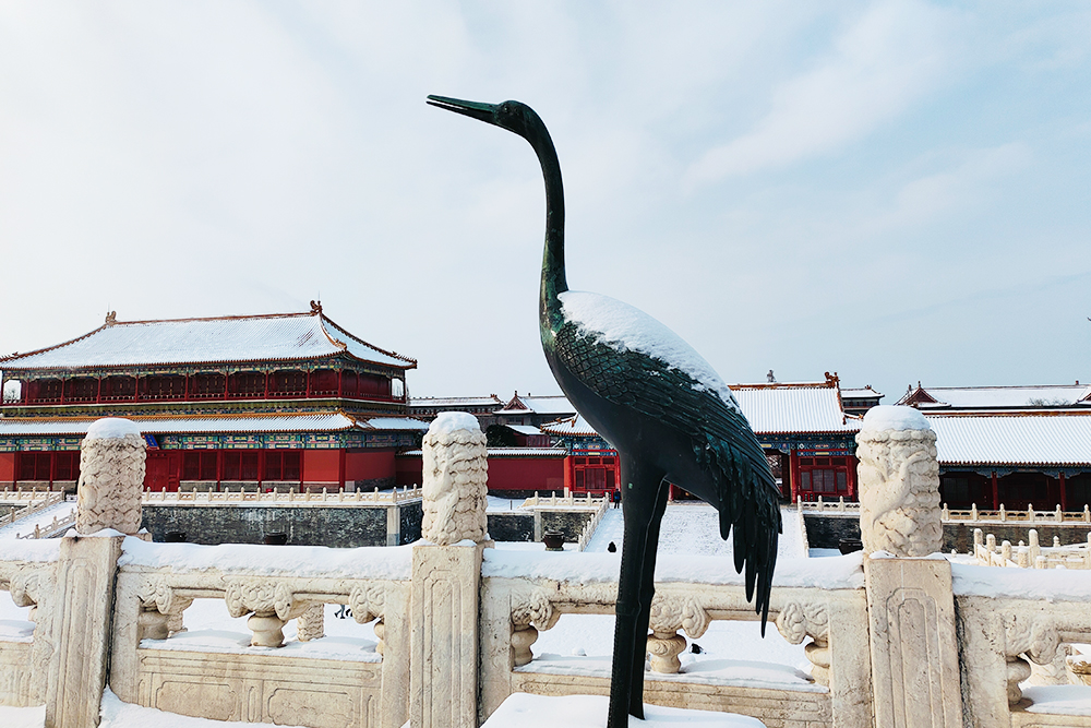 Tour 3  ,  Tiananmen Square . Forbidden City . Temple of Heaven
