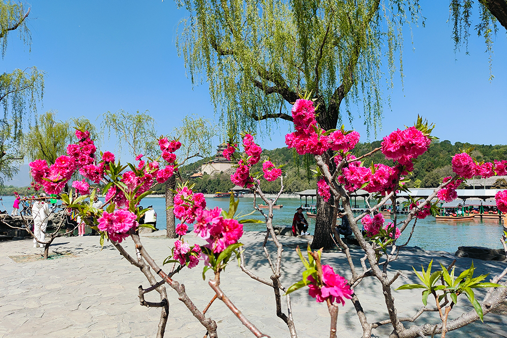 Tour 4 ,  Panda house . Summer Palace . Pearl factory . Olympic Center . Take a rickshaw go through hutong and visit a local family .  Yandaixiejie Hutong and Houhai lake .